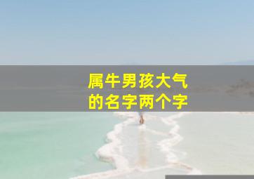 属牛男孩大气的名字两个字