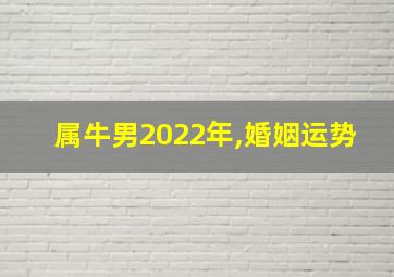 属牛男2022年,婚姻运势