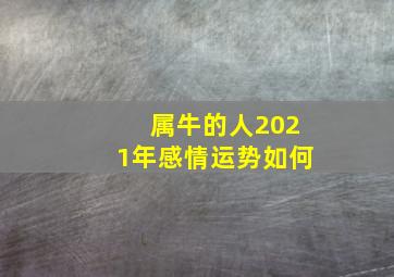 属牛的人2021年感情运势如何