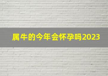 属牛的今年会怀孕吗2023