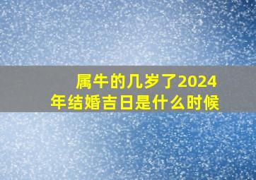 属牛的几岁了2024年结婚吉日是什么时候