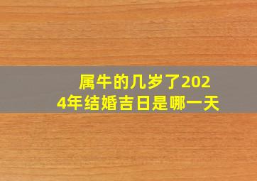 属牛的几岁了2024年结婚吉日是哪一天