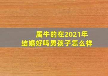 属牛的在2021年结婚好吗男孩子怎么样