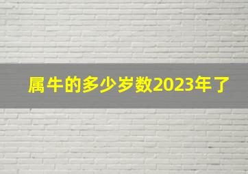 属牛的多少岁数2023年了