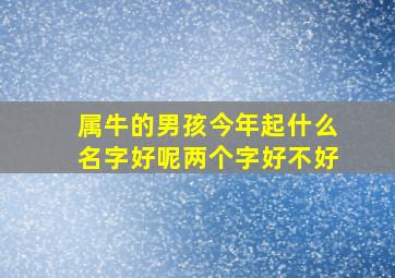 属牛的男孩今年起什么名字好呢两个字好不好