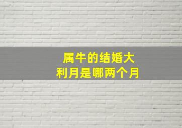 属牛的结婚大利月是哪两个月