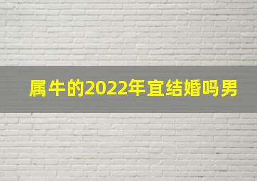 属牛的2022年宜结婚吗男