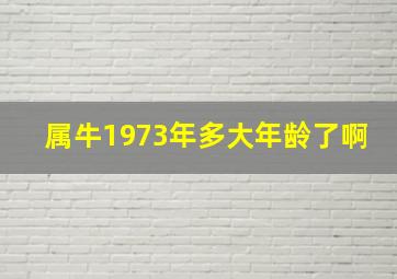 属牛1973年多大年龄了啊