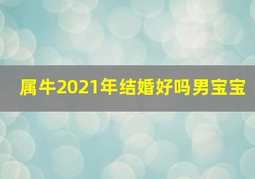 属牛2021年结婚好吗男宝宝