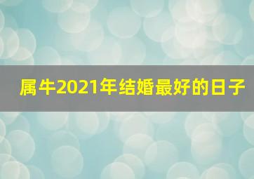 属牛2021年结婚最好的日子