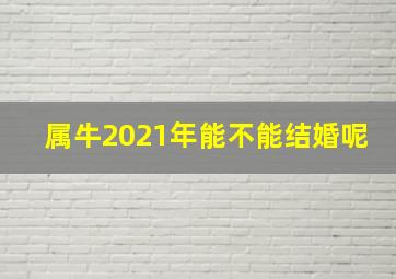 属牛2021年能不能结婚呢