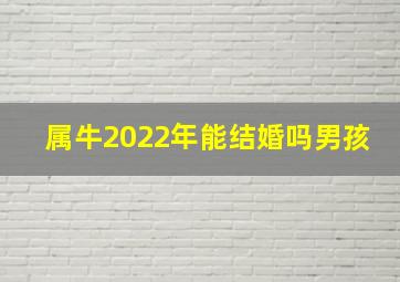 属牛2022年能结婚吗男孩