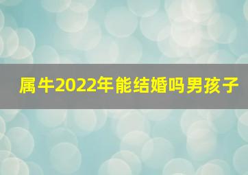 属牛2022年能结婚吗男孩子