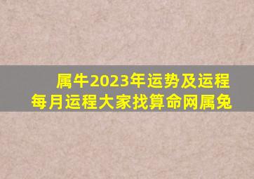 属牛2023年运势及运程每月运程大家找算命网属兔