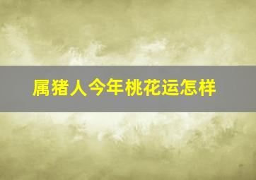 属猪人今年桃花运怎样