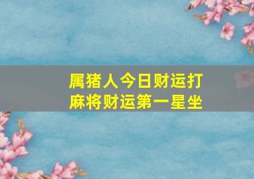 属猪人今日财运打麻将财运第一星坐