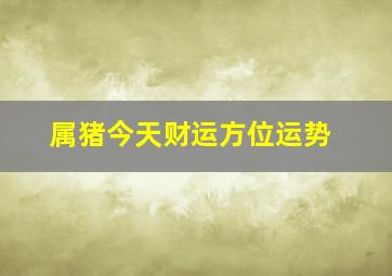 属猪今天财运方位运势