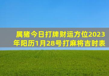 属猪今日打牌财运方位2023年阳历1月28号打麻将吉时表