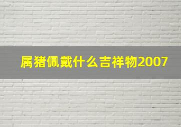 属猪佩戴什么吉祥物2007