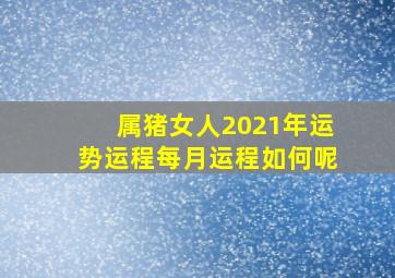 属猪女人2021年运势运程每月运程如何呢