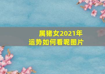 属猪女2021年运势如何看呢图片