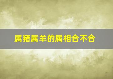 属猪属羊的属相合不合