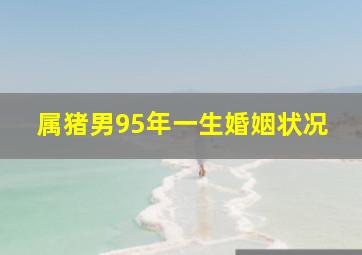 属猪男95年一生婚姻状况