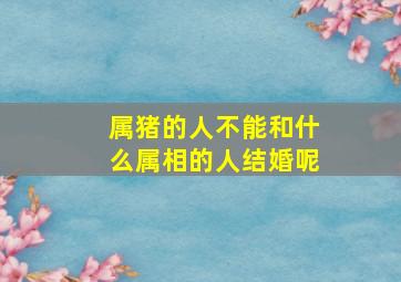 属猪的人不能和什么属相的人结婚呢