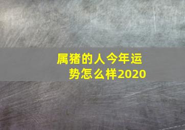 属猪的人今年运势怎么样2020