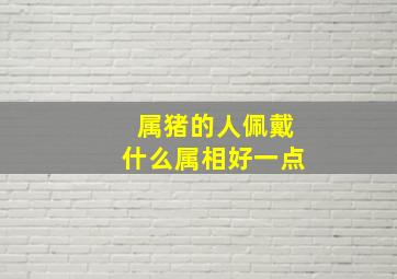 属猪的人佩戴什么属相好一点