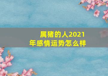 属猪的人2021年感情运势怎么样