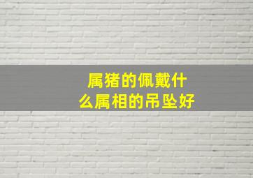 属猪的佩戴什么属相的吊坠好