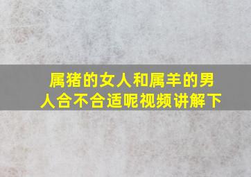 属猪的女人和属羊的男人合不合适呢视频讲解下