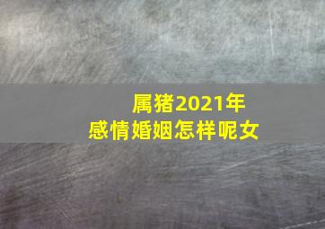 属猪2021年感情婚姻怎样呢女