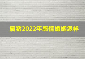 属猪2022年感情婚姻怎样