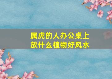 属虎的人办公桌上放什么植物好风水