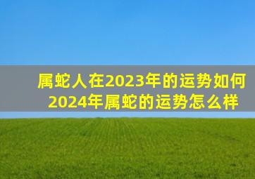 属蛇人在2023年的运势如何 2024年属蛇的运势怎么样