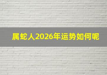 属蛇人2026年运势如何呢