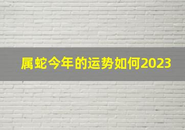 属蛇今年的运势如何2023