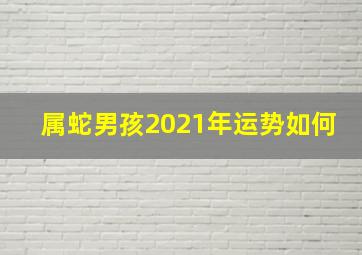 属蛇男孩2021年运势如何