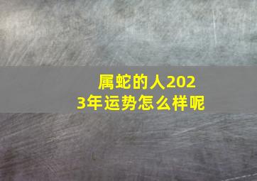 属蛇的人2023年运势怎么样呢