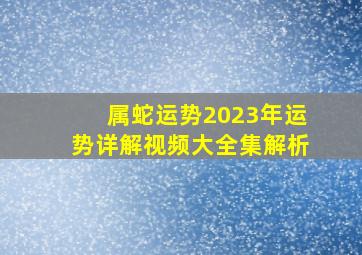 属蛇运势2023年运势详解视频大全集解析