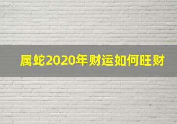 属蛇2020年财运如何旺财