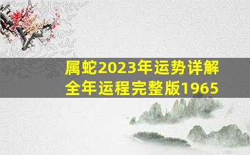 属蛇2023年运势详解全年运程完整版1965