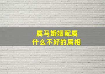 属马婚姻配属什么不好的属相