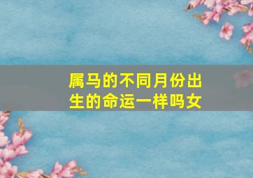 属马的不同月份出生的命运一样吗女