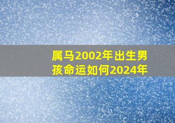 属马2002年出生男孩命运如何2024年