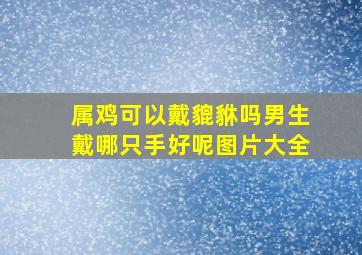 属鸡可以戴貔貅吗男生戴哪只手好呢图片大全