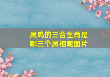 属鸡的三合生肖是哪三个属相呢图片