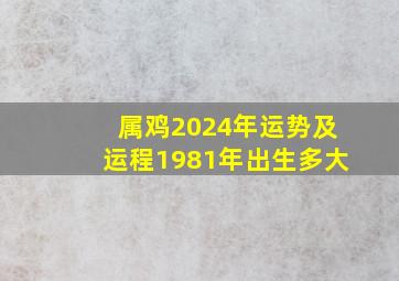 属鸡2024年运势及运程1981年出生多大